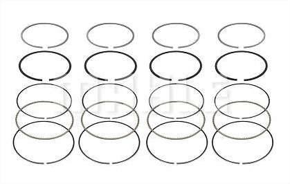 SEGMENTO MOTOR(050)